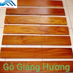 sàn gỗ giáng hương lào