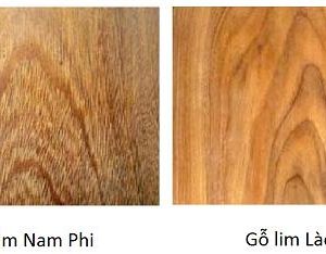 mẫu sàn gỗ tự nhiên đẹp