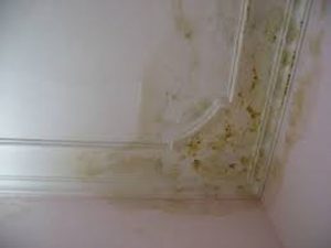 sàn gỗ công nghiệp sản xuất tại Việt Nam